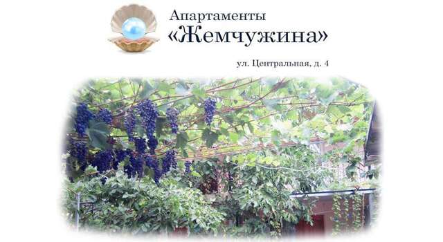 Апартаменты Жемчужина Рыбачье-3